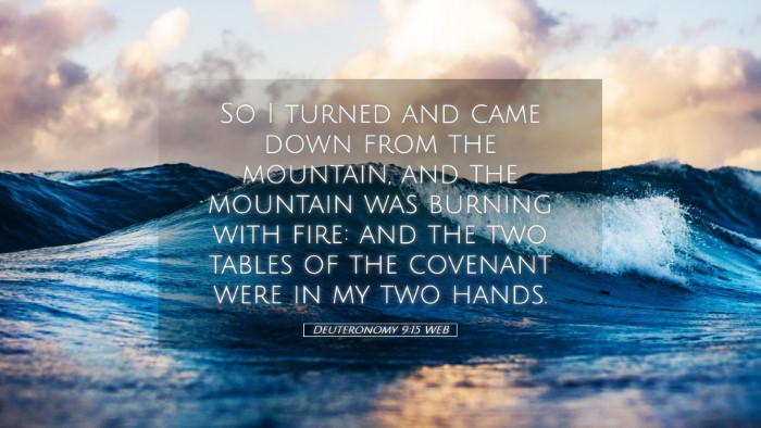 Picture 05 - Deuteronomy 9:15 WEB Desktop Wallpaper - So I turned and came down from the mountain, and - Desktop Bible Verse Wallpaper