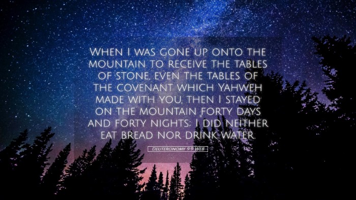 Picture 05 - Deuteronomy 9:9 WEB Desktop Wallpaper - When I was gone up onto the mountain to receive - Desktop Bible Verse Wallpaper