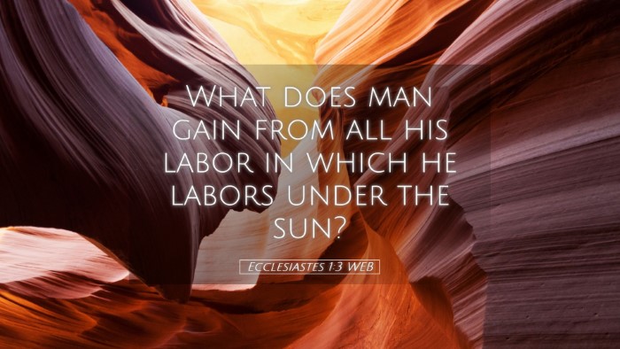 Picture 05 - Ecclesiastes 1:3 WEB Desktop Wallpaper - What does man gain from all his labor in which he - Desktop Bible Verse Wallpaper