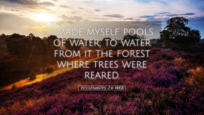 Picture 05 - Ecclesiastes 2:6 WEB Desktop Wallpaper - I made myself pools of water, to water from it - Desktop Bible Verse Wallpaper