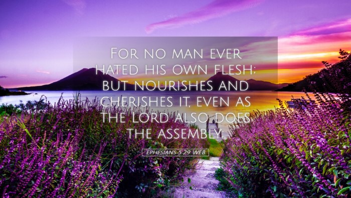 Picture 05 - Ephesians 5:29 WEB Desktop Wallpaper - For no man ever hated his own flesh; but - Desktop Bible Verse Wallpaper