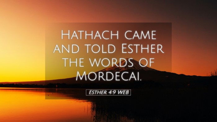 Picture 05 - Esther 4:9 WEB Desktop Wallpaper - Hathach came and told Esther the words of - Desktop Bible Verse Wallpaper