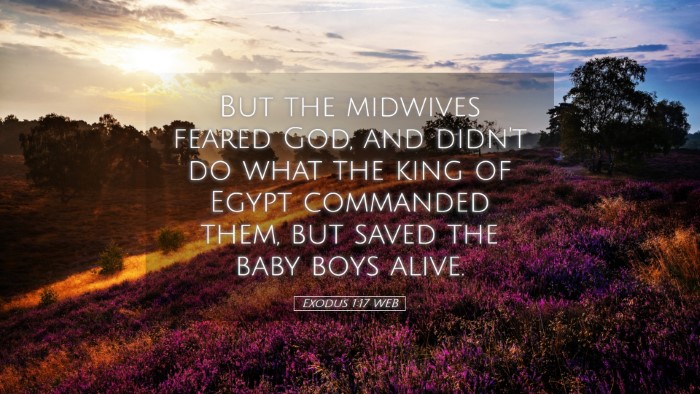 Picture 05 - Exodus 1:17 WEB Desktop Wallpaper - But the midwives feared God, and didn't do what - Desktop Bible Verse Wallpaper