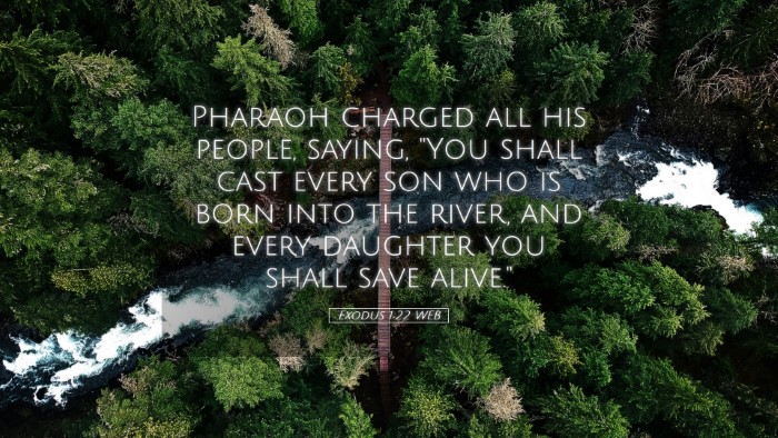 Picture 05 - Exodus 1:22 WEB Desktop Wallpaper - Pharaoh charged all his people, saying, 