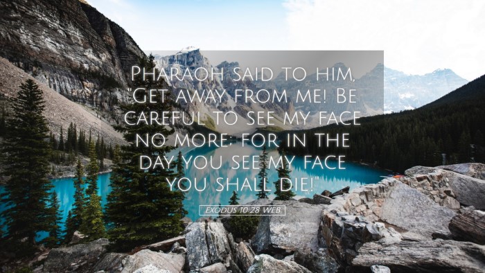 Picture 05 - Exodus 10:28 WEB Desktop Wallpaper - Pharaoh said to him, 