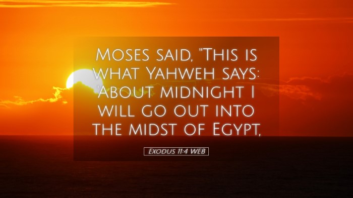 Picture 05 - Exodus 11:4 WEB Desktop Wallpaper - Moses said, 