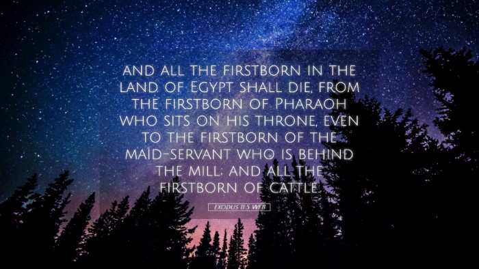 Picture 05 - Exodus 11:5 WEB Desktop Wallpaper - and all the firstborn in the land of Egypt shall - Desktop Bible Verse Wallpaper