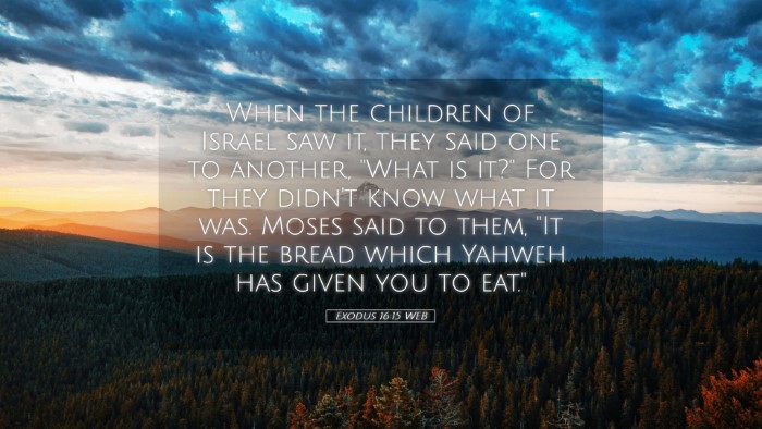 Picture 05 - Exodus 16:15 WEB Desktop Wallpaper - When the children of Israel saw it, they said one - Desktop Bible Verse Wallpaper