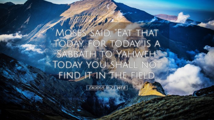Picture 05 - Exodus 16:25 WEB Desktop Wallpaper - Moses said, 