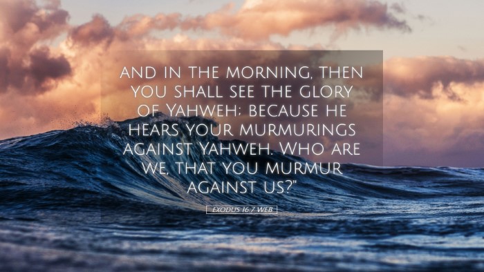 Picture 05 - Exodus 16:7 WEB Desktop Wallpaper - and in the morning, then you shall see the glory - Desktop Bible Verse Wallpaper