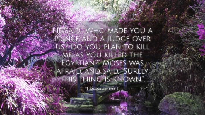 Picture 05 - Exodus 2:14 WEB Desktop Wallpaper - He said, 