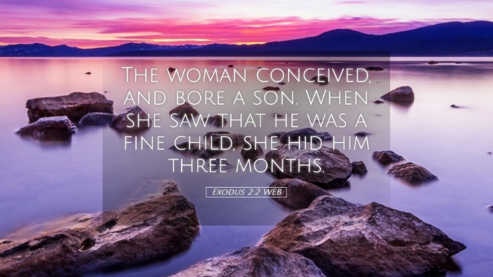 Picture 05 - Exodus 2:2 WEB Desktop Wallpaper - The woman conceived, and bore a son. When she saw - Desktop Bible Verse Wallpaper