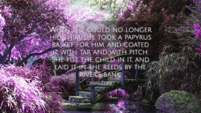 Picture 05 - Exodus 2:3 WEB Desktop Wallpaper - When she could no longer hide him, she took a - Desktop Bible Verse Wallpaper