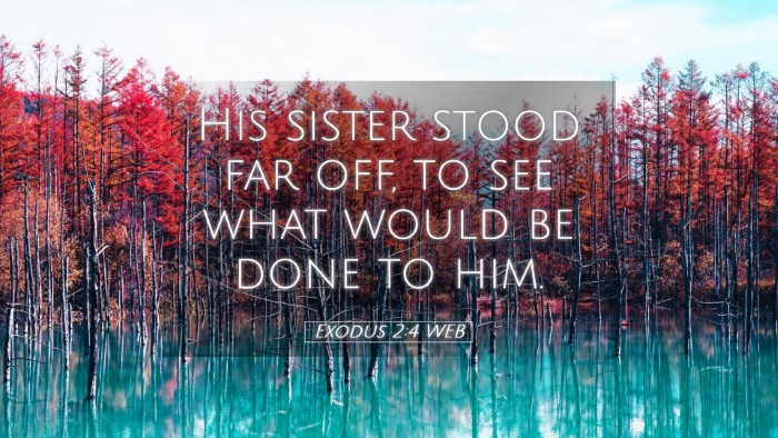 Picture 05 - Exodus 2:4 WEB Desktop Wallpaper - His sister stood far off, to see what would be - Desktop Bible Verse Wallpaper