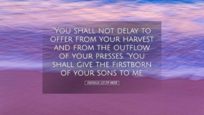Picture 05 - Exodus 22:29 WEB Desktop Wallpaper - 