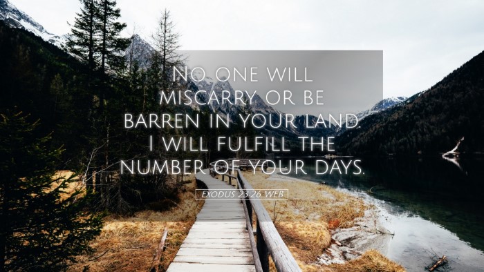 Picture 05 - Exodus 23:26 WEB Desktop Wallpaper - No one will miscarry or be barren in your land. I - Desktop Bible Verse Wallpaper