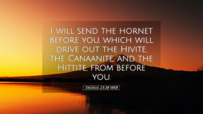 Picture 05 - Exodus 23:28 WEB Desktop Wallpaper - I will send the hornet before you, which will - Desktop Bible Verse Wallpaper