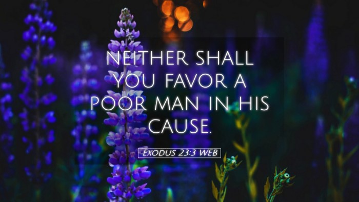 Picture 05 - Exodus 23:3 WEB Desktop Wallpaper - neither shall you favor a poor man in his - Desktop Bible Verse Wallpaper