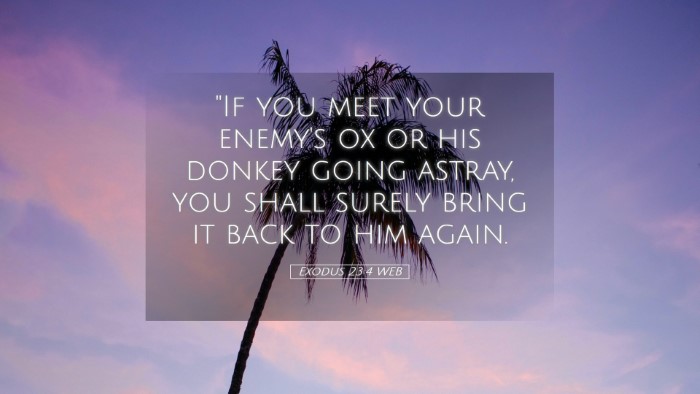 Picture 05 - Exodus 23:4 WEB Desktop Wallpaper - 