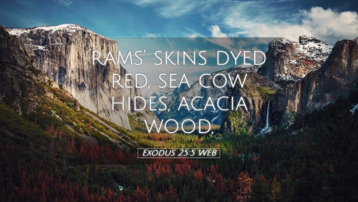 Picture 05 - Exodus 25:5 WEB Desktop Wallpaper - rams' skins dyed red, sea cow hides, acacia - Desktop Bible Verse Wallpaper