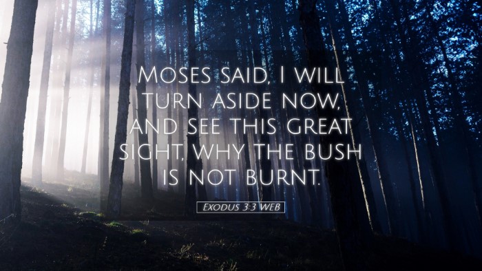 Picture 05 - Exodus 3:3 WEB Desktop Wallpaper - Moses said, I will turn aside now, and see this - Desktop Bible Verse Wallpaper