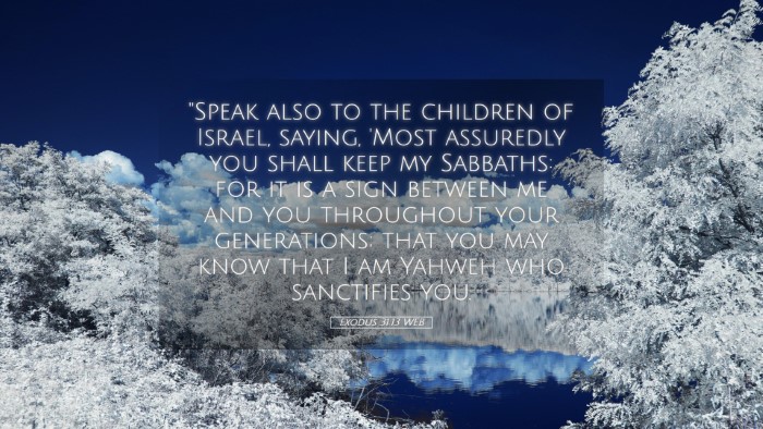 Picture 05 - Exodus 31:13 WEB Desktop Wallpaper - 
