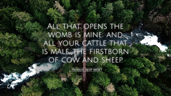 Picture 05 - Exodus 34:19 WEB Desktop Wallpaper - All that opens the womb is mine; and all your - Desktop Bible Verse Wallpaper