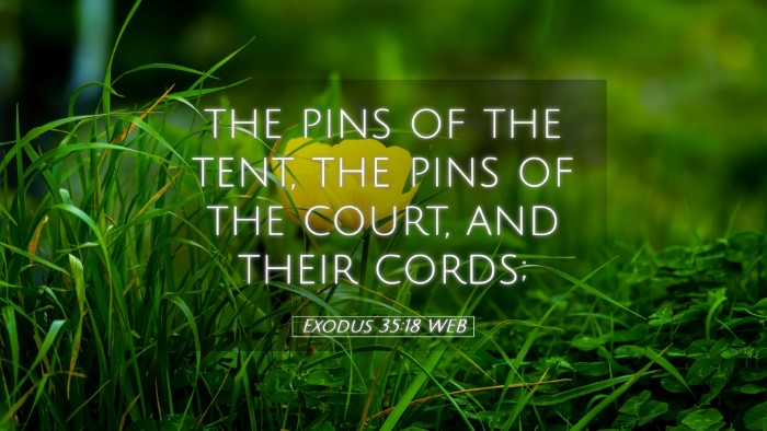 Picture 05 - Exodus 35:18 WEB Desktop Wallpaper - the pins of the tent, the pins of the court, and - Desktop Bible Verse Wallpaper
