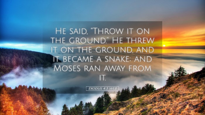 Picture 05 - Exodus 4:3 WEB Desktop Wallpaper - He said, 