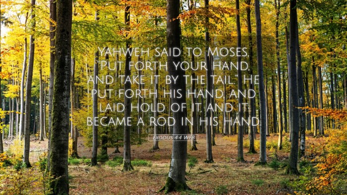 Picture 05 - Exodus 4:4 WEB Desktop Wallpaper - Yahweh said to Moses, 