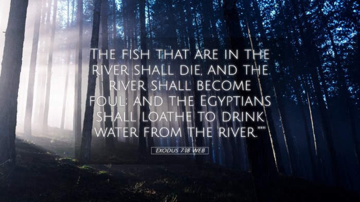 Picture 05 - Exodus 7:18 WEB Desktop Wallpaper - The fish that are in the river shall die, and the - Desktop Bible Verse Wallpaper