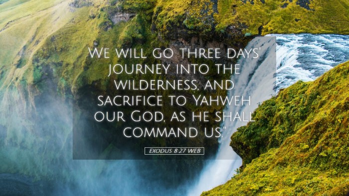 Picture 05 - Exodus 8:27 WEB Desktop Wallpaper - We will go three days' journey into the - Desktop Bible Verse Wallpaper