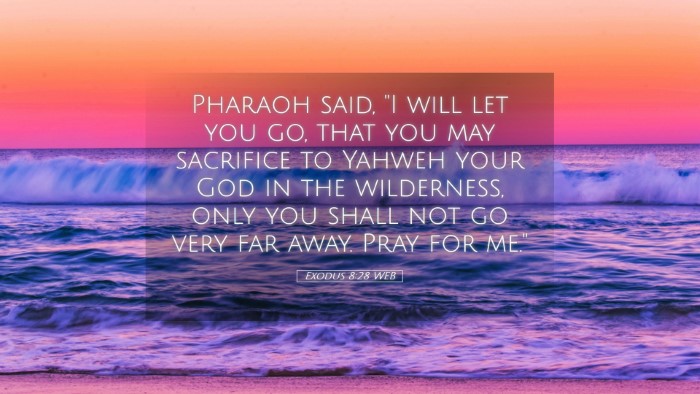 Picture 05 - Exodus 8:28 WEB Desktop Wallpaper - Pharaoh said, 