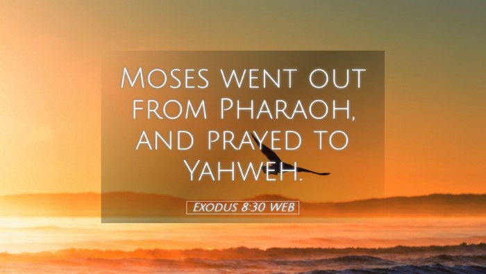 Picture 05 - Exodus 8:30 WEB Desktop Wallpaper - Moses went out from Pharaoh, and prayed to - Desktop Bible Verse Wallpaper