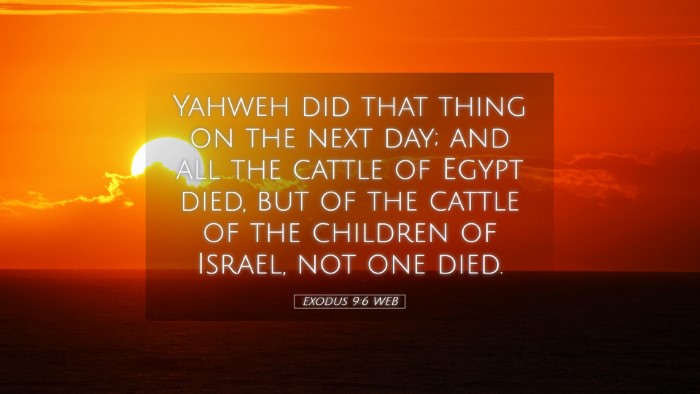 Picture 05 - Exodus 9:6 WEB Desktop Wallpaper - Yahweh did that thing on the next day; and all - Desktop Bible Verse Wallpaper
