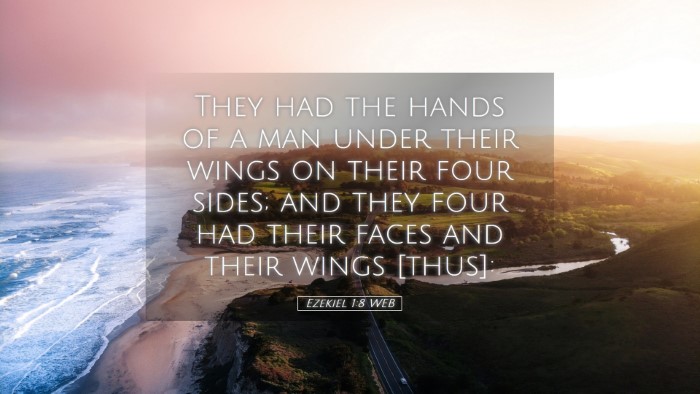 Picture 05 - Ezekiel 1:8 WEB Desktop Wallpaper - They had the hands of a man under their wings on - Desktop Bible Verse Wallpaper