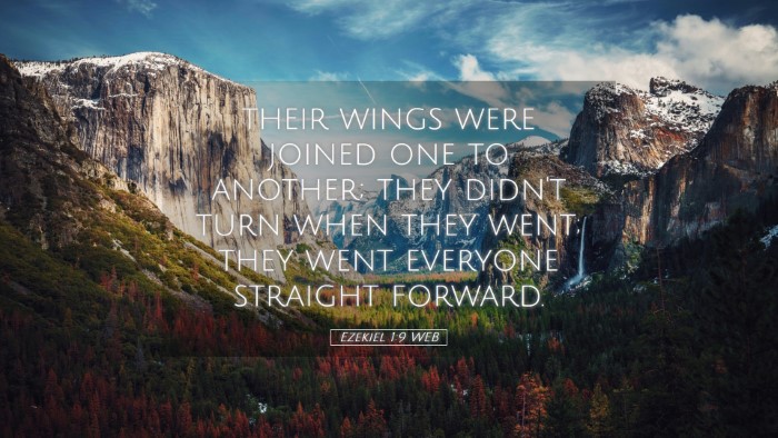 Picture 05 - Ezekiel 1:9 WEB Desktop Wallpaper - their wings were joined one to another; they - Desktop Bible Verse Wallpaper