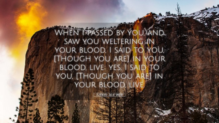 Picture 05 - Ezekiel 16:6 WEB Desktop Wallpaper - When I passed by you, and saw you weltering in - Desktop Bible Verse Wallpaper