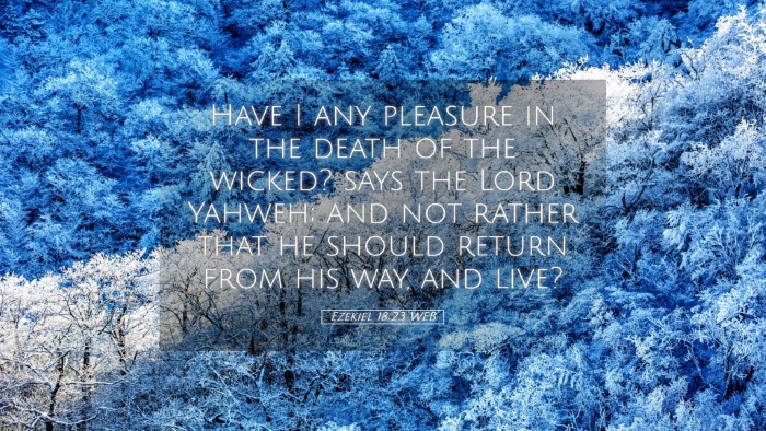 Picture 05 - Ezekiel 18:23 WEB Desktop Wallpaper - Have I any pleasure in the death of the wicked? - Desktop Bible Verse Wallpaper