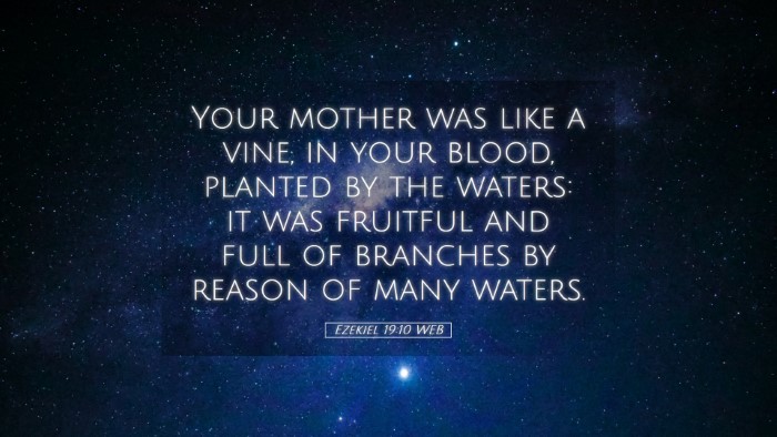 Picture 05 - Ezekiel 19:10 WEB Desktop Wallpaper - Your mother was like a vine, in your blood, - Desktop Bible Verse Wallpaper