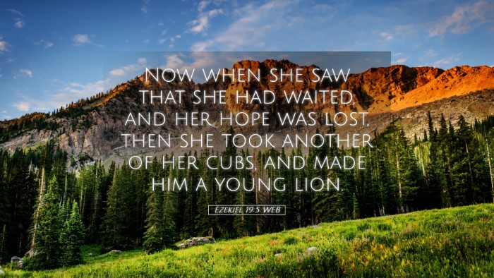 Picture 05 - Ezekiel 19:5 WEB Desktop Wallpaper - Now when she saw that she had waited, and her - Desktop Bible Verse Wallpaper
