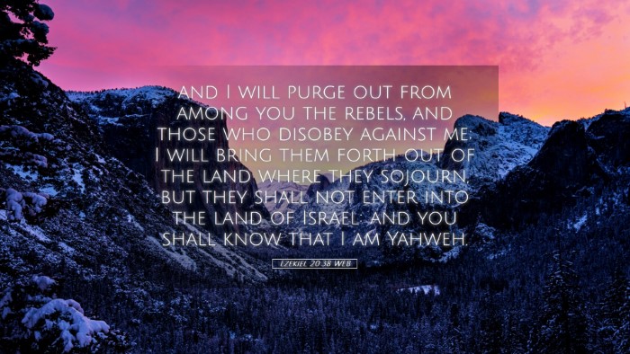 Picture 05 - Ezekiel 20:38 WEB Desktop Wallpaper - and I will purge out from among you the rebels, - Desktop Bible Verse Wallpaper