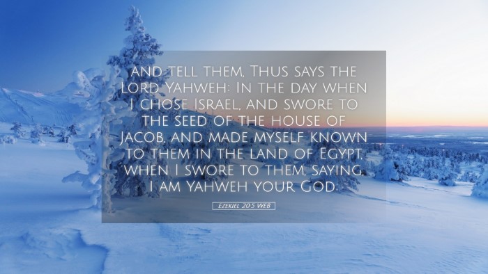 Picture 05 - Ezekiel 20:5 WEB Desktop Wallpaper - and tell them, Thus says the Lord Yahweh: In the - Desktop Bible Verse Wallpaper