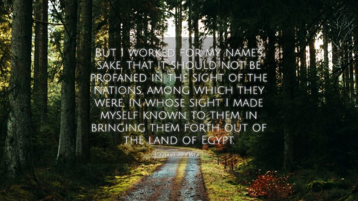 Picture 05 - Ezekiel 20:9 WEB Desktop Wallpaper - But I worked for my name's sake, that it should - Desktop Bible Verse Wallpaper