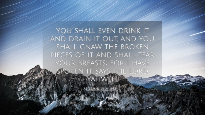Picture 05 - Ezekiel 23:34 WEB Desktop Wallpaper - You shall even drink it and drain it out, and you - Desktop Bible Verse Wallpaper