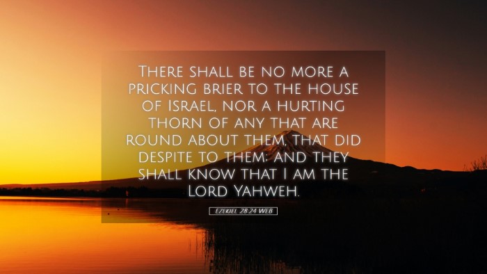 Picture 05 - Ezekiel 28:24 WEB Desktop Wallpaper - There shall be no more a pricking brier to the - Desktop Bible Verse Wallpaper