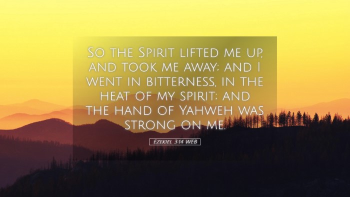Picture 05 - Ezekiel 3:14 WEB Desktop Wallpaper - So the Spirit lifted me up, and took me away; and - Desktop Bible Verse Wallpaper
