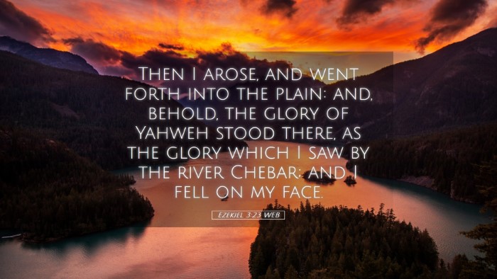 Picture 05 - Ezekiel 3:23 WEB Desktop Wallpaper - Then I arose, and went forth into the plain: and, - Desktop Bible Verse Wallpaper
