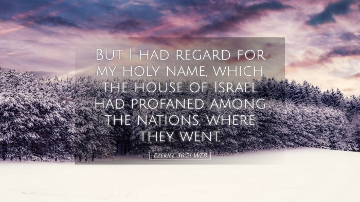 Picture 05 - Ezekiel 36:21 WEB Desktop Wallpaper - But I had regard for my holy name, which the - Desktop Bible Verse Wallpaper