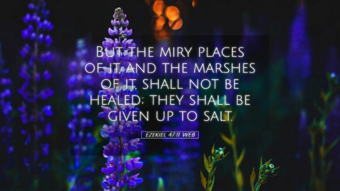 Picture 05 - Ezekiel 47:11 WEB Desktop Wallpaper - But the miry places of it, and the marshes of it, - Desktop Bible Verse Wallpaper